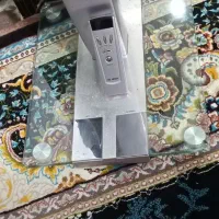 پنکه ایستاده