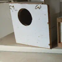 لانه چوبی عروس هلندی