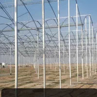 فروش زمین ۳۸۰۰ متری گلخانه ای