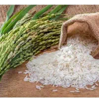 برنج درجه یک به شرط پخت