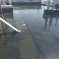 نصب تخصصی ایزوگام و قیرگونی با ضمانت|خدمات پیشه و مهارت|تهران, امیریه|دیوار