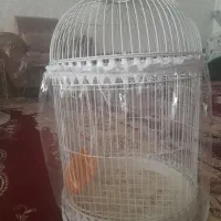 کاور لوازم برقی وجانبی|سفره، حوله، دستمال آشپزخانه|قائن, |دیوار