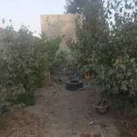 ۷۵۰متر چهاردیواری دهشاد شهریار الورد کبودین بنادار|فروش دفتر صنعتی، کشاورزی، تجاری|شهریار, دهشاد بالا|دیوار