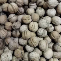 گردو سراب کرند موجوداست|خوردنی و آشامیدنی|دالاهو, |دیوار