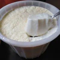 انواع لبنیات محلی تازه شیر وماست و دوغ ماست چکیده