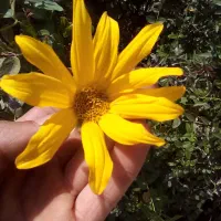 سرویس رفت برگشت الشتر نوراباد