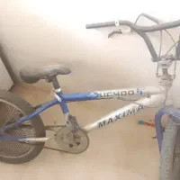 دوچرخه حرفه ای