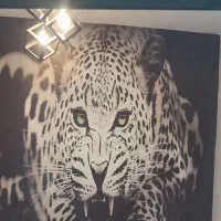 باغچه شهریار انجم اباد|فروش خانه و ویلا|رباطکریم, انجم آباد|دیوار