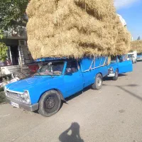 کاه برنج کاه جو یونجه علف