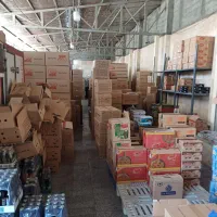 ویزیتور تلفنی