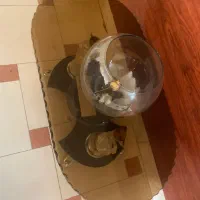 میز مبل|مبلمان خانگی و میز عسلی|صدرا-فارس, فاز ۱|دیوار