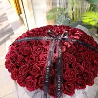 گالری پریماه