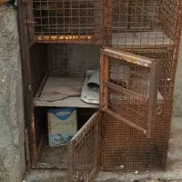 قفس|لوازم جانبی حیوانات|محمدشهر, جعفرآباد|دیوار