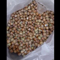 فندق عمده