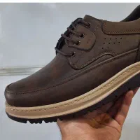 کفش تبریز|کیف، کفش، کمربند|اردبیل, |دیوار