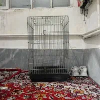 قفس|لوازم جانبی حیوانات|اراک, |دیوار