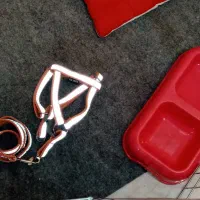 پامر اشپیتز واکسن زده،شناسنامه دار|سگ|مشهد, رستگار|دیوار