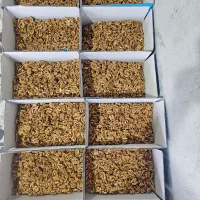 فروش ویژه گردو مغزه عمده|خوردنی و آشامیدنی|دلوار, |دیوار