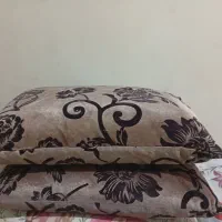 بالش پر|رختخواب، بالش، پتو|باغستان, |دیوار