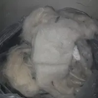 فروش کلک و پشم گوسفندی