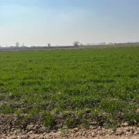 ۳۰ هزار متر مربع مجموعه باغی و گلخانه فعال ورامین