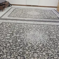 دو عدد فرش ۱۲متری طوسی