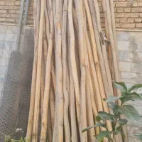 خرید چوب|خدمات باغبانی و درختکاری|سامان, |دیوار