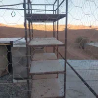 جفت کن کبوتر|لوازم جانبی حیوانات|قزوین, |دیوار