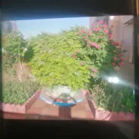 اجاره