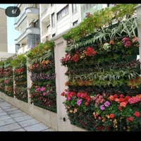 خدمات باغبانی گلکاری تعویض خاک گلدان در منزل|خدمات باغبانی و درختکاری|تهران, مرزداران|دیوار