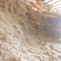 کاه گندم|لوازم جانبی حیوانات|بیرانوند, |دیوار