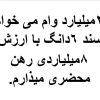 2 میلیارد وام می خوام