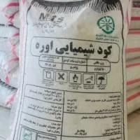 دو گونی کوت سفید