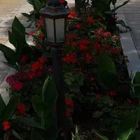 ورزش