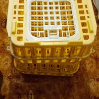 سبد مرغی درحد نو