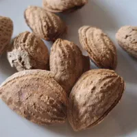 خشکبار مویز هسته دار ، بادام ، زعفران