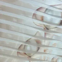 پرده زبرا