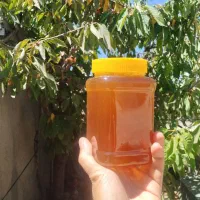 عسل طبیعی از شهد درختان سماق سردشت
