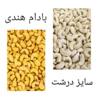 بادام هندی