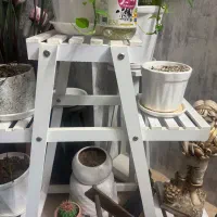 استند گلدون چوبی