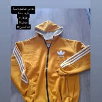 هودی و دورس۴۸۰