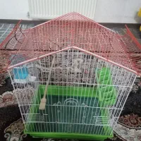 قفس|لوازم جانبی حیوانات|فولادشهر, مسکن مهر فولادشهر|دیوار