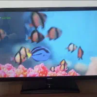 فروش تلویزیون ۴۳ سامسونگ|تلویزیون و پروژکتور|رشت, دباغیان|دیوار