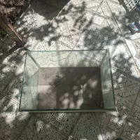 سه عدد آکواریوم ماهی شیشه ۸میل