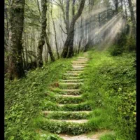 توروچارتر|تور و چارتر|سبزوار, پاسداران|دیوار