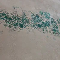 نیروی کارپتینه ومیکروسمنت