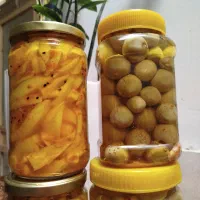 فروش ترشی لمپچ وانبه