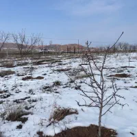 باغ زمین ۳۷۰۰ متری|فروش زمین و ملک کلنگی|قره قوین, |دیوار