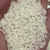 برنج هاشمی دو الک