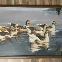 تابلو نقاشی رنگ روغن قاب چوبی طرح قوها